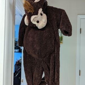 Monkey Costume Infant